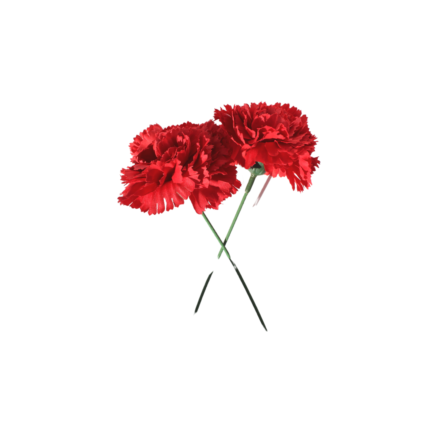 Clavel Rojo - Malcriá
