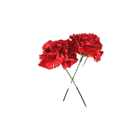 Clavel Rojo - Malcriá